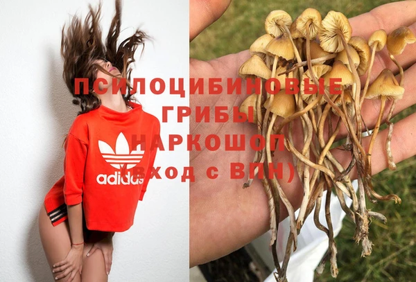 СК Алексин