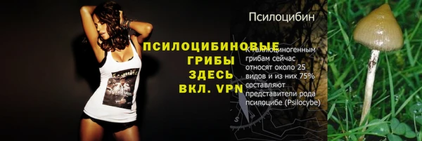 ГАЛЛЮЦИНОГЕННЫЕ ГРИБЫ Алзамай
