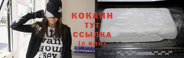 СК Алексин