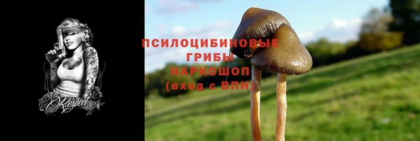 прущий лед Алексеевка