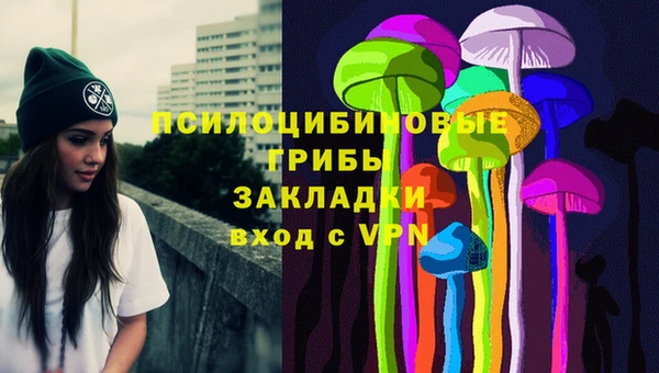 СК Алексин