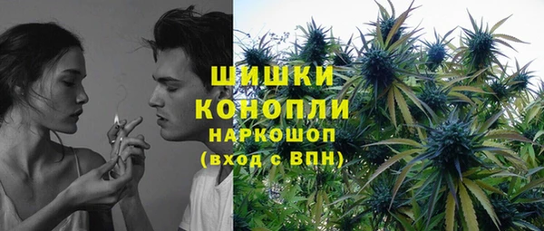 ГАЛЛЮЦИНОГЕННЫЕ ГРИБЫ Алзамай