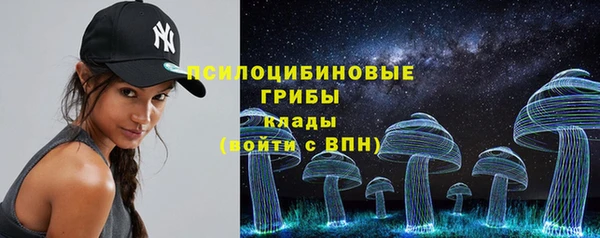 ГАЛЛЮЦИНОГЕННЫЕ ГРИБЫ Алзамай