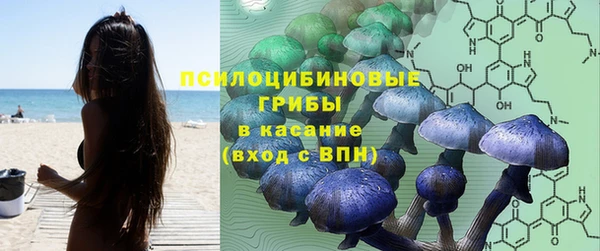 прущий лед Алексеевка